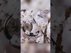 Lily Rose Osmanthus Tanden Whitening Tandpasta in 400 g wit papier verpakking