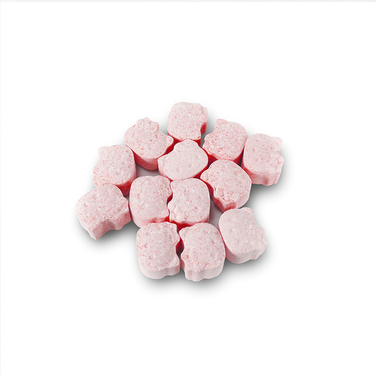 OEM Draagbare 50g Tanden die Tabletten met Fluoride Mondelinge Schoonmakende Tandpasta witten