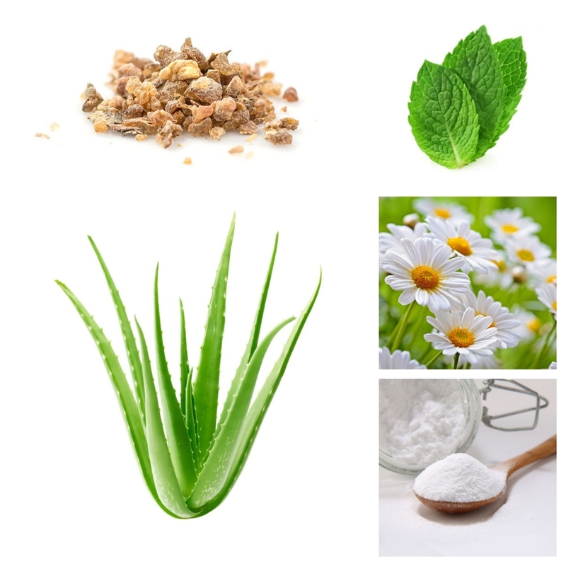 Organische Mondelinge van het Aloëvera teeth whitening baking soda van de Zorgtandpasta Natuurlijke de Installatieuittreksels Vrije Sls