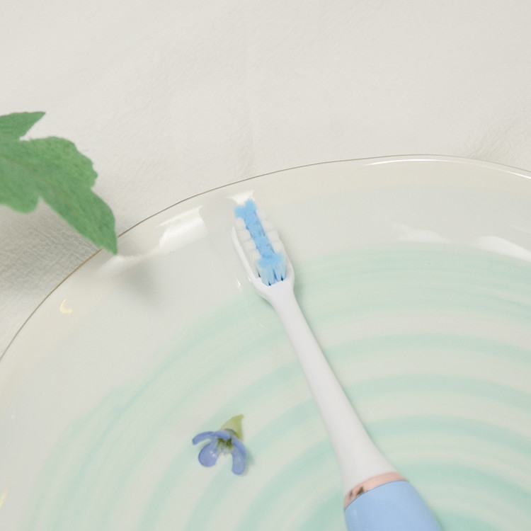 De Zorgtandenborstels 0.7W van de gomzorg het Slimme Mondelinge sonische schoonmaken voor Reis